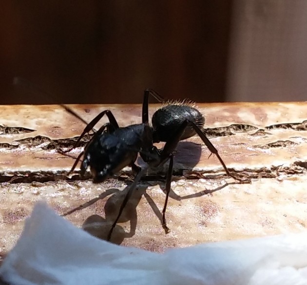 20170730_124423.jpg