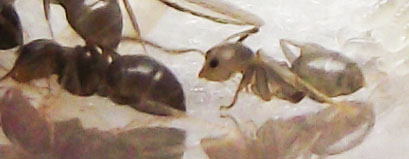 DSCF3704.JPG