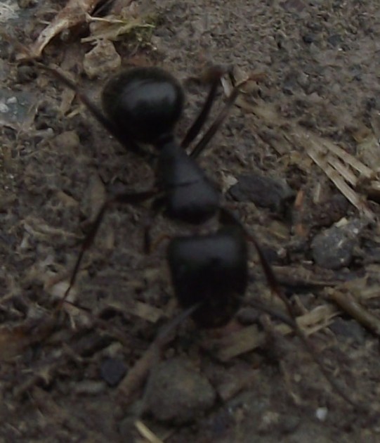 DSCF5062.JPG