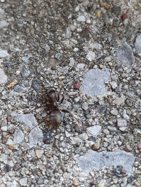 20170731_181938.jpg