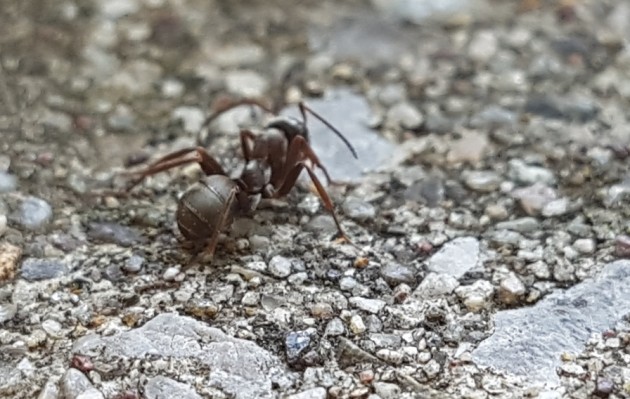 20170731_182006.jpg