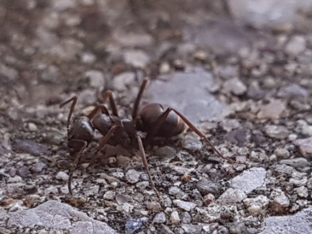 20170731_182025.jpg