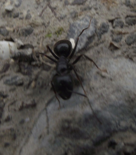DSCF5063.JPG