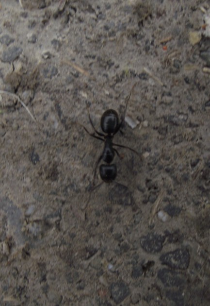 DSCF5064.JPG