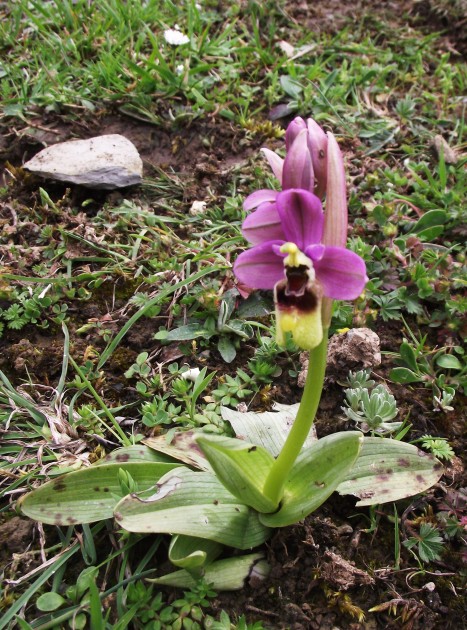 DSCF5066.JPG