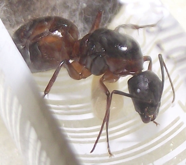 DSCF5073.JPG